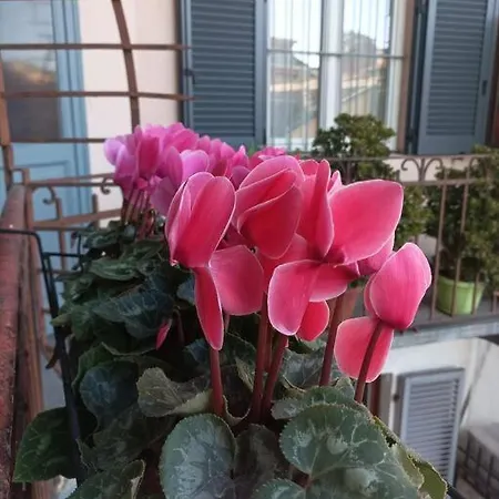 Pane E Tulipani, Cozy Near Center Apartmán Turín