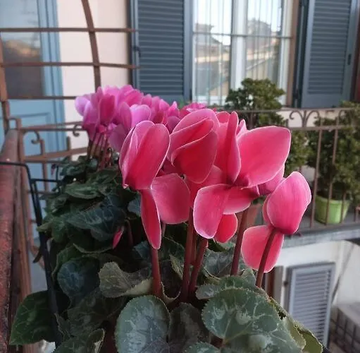 Pane E Tulipani, Cozy Near Center Apartmán Turín